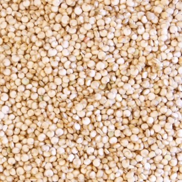 Quinoa Real alba certificata bio 500g Primeal